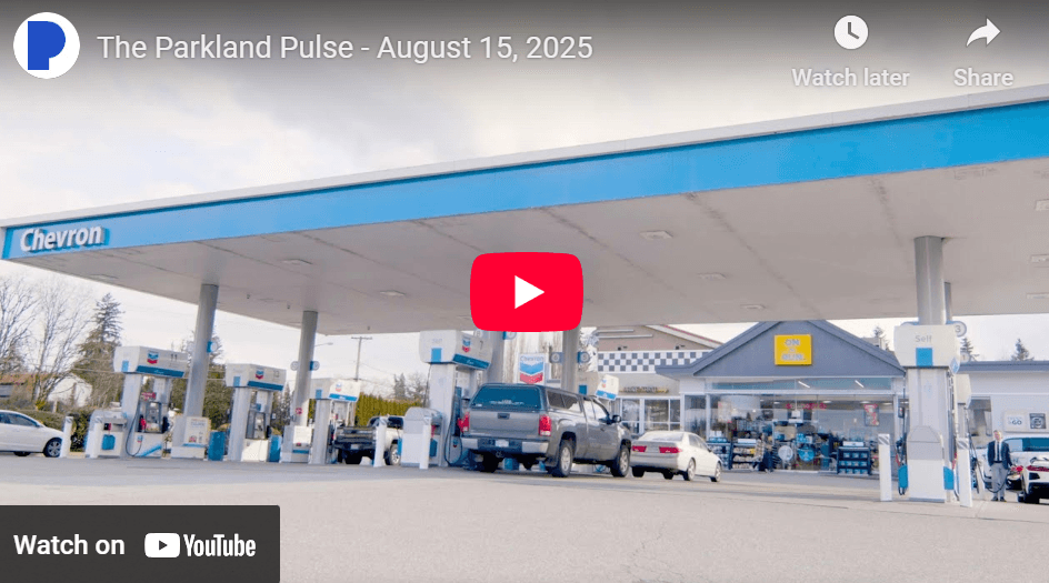 The Pulse - August 15